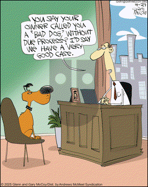 The Flying McCoys on Tuesday April 29, 2025 Comic Strip