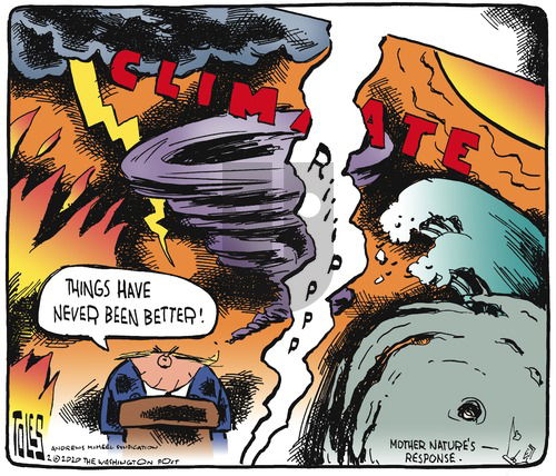 Tom Toles on Sunday February 9, 2020 Comic Strip