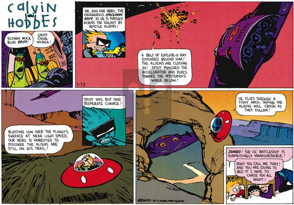Calvin and Hobbes on Sunday March 7, 1993 Comic Strip
