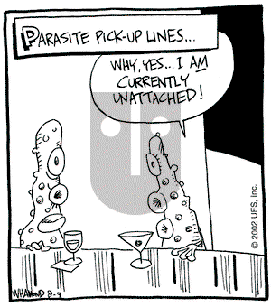 Reality Check on Friday August 9, 2002 Comic Strip