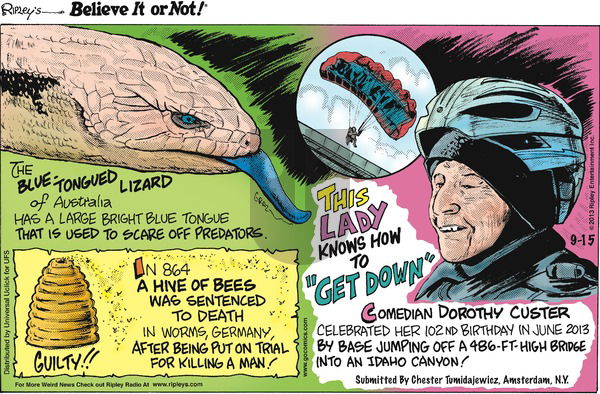 Ripley's Believe It or Not on Sunday September 15, 2013 Comic Strip
