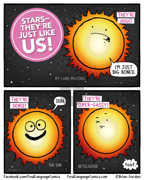 Fowl Language on Thursday May 22, 2025 Comic Strip