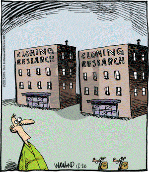 Reality Check - Saturday December 26, 2015 Comic Strip
