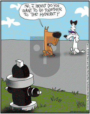 The Flying McCoys on Saturday August 11, 2018 Comic Strip
