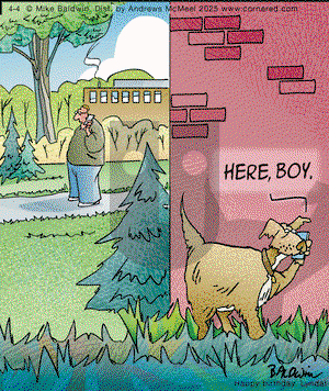 Cornered on Friday April 4, 2025 Comic Strip