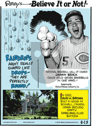 Ripley's Believe It or Not on Saturday June 13, 2015 Comic Strip