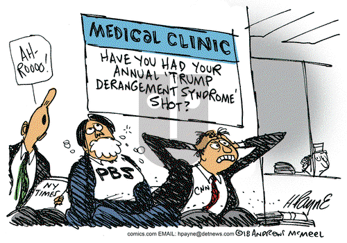 Henry Payne on Thursday November 8, 2018 Comic Strip