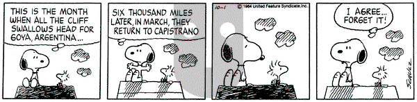 Peanuts on Monday October 1, 1984 Comic Strip