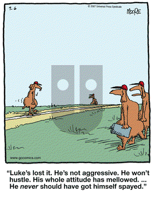 In the Bleachers on Thursday September 6, 2007 Comic Strip