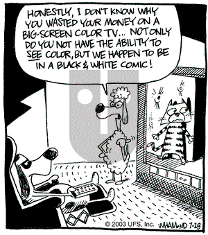 Reality Check on Monday July 28, 2003 Comic Strip