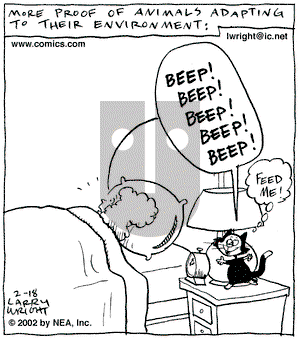 Kit 'N' Carlyle on Monday February 18, 2002 Comic Strip