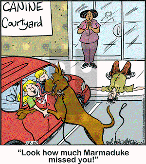 Marmaduke on Tuesday December 22, 2020 Comic Strip