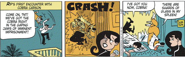 Rip Haywire on Tuesday January 27, 2009 Comic Strip
