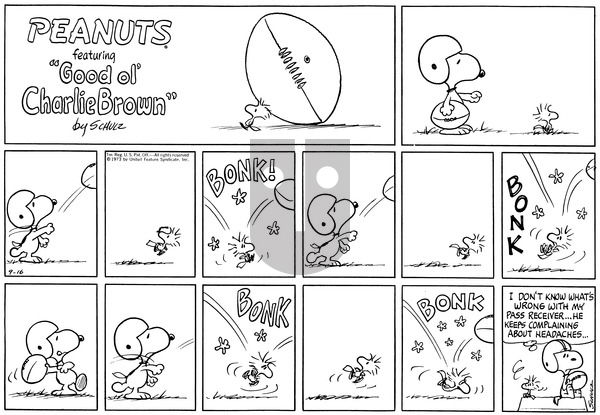 Peanuts on Sunday September 16, 1973 Comic Strip