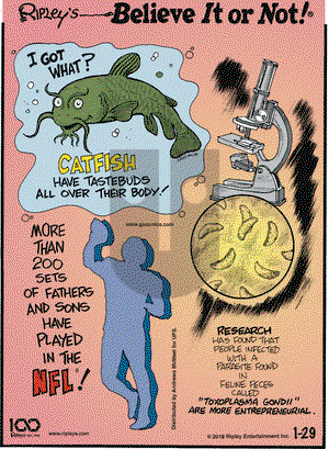 Ripley's Believe It or Not on Tuesday January 29, 2019 Comic Strip
