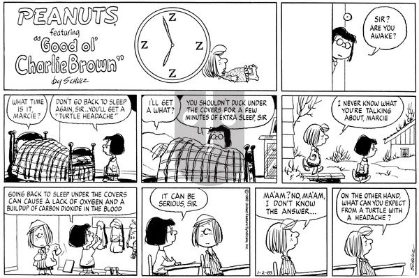 Peanuts on Sunday January 2, 1983 Comic Strip