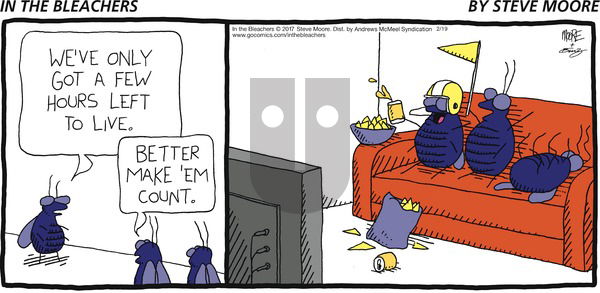 In the Bleachers on Sunday February 19, 2017 Comic Strip