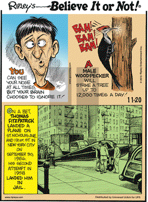 Ripley's Believe It or Not on Friday November 20, 2015 Comic Strip