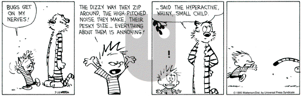 Calvin and Hobbes on Friday July 28, 1995 Comic Strip