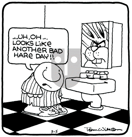 Ziggy - Wednesday May 5, 1993 Comic Strip