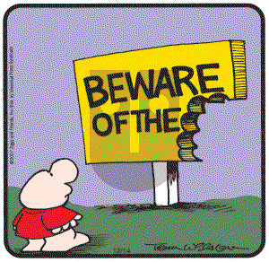 Ziggy - Friday December 14, 2007 Comic Strip