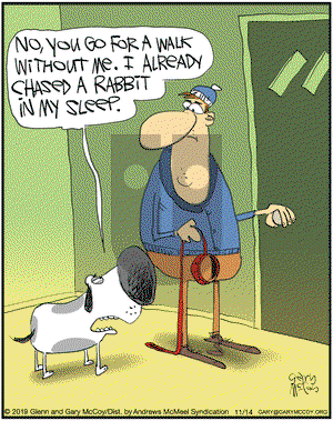 The Flying McCoys on Thursday November 14, 2019 Comic Strip