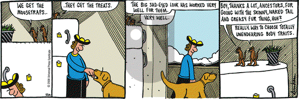 Overboard on Thursday May 29, 2008 Comic Strip