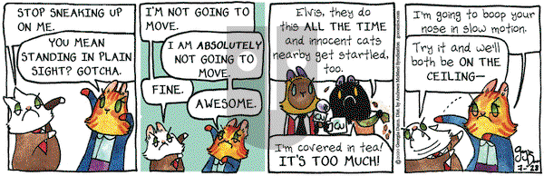 Breaking Cat News on Tuesday July 28, 2020 Comic Strip