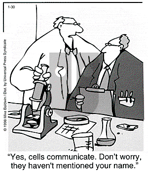 Cornered - Friday January 30, 1998 Comic Strip