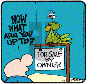 Ziggy on Tuesday May 5, 2009 Comic Strip