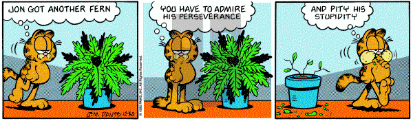 Garfield on Wednesday December 30, 1992 Comic Strip