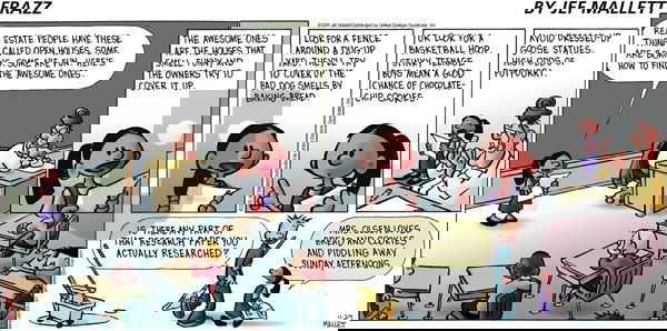 Frazz on Sunday November 29, 2009 Comic Strip
