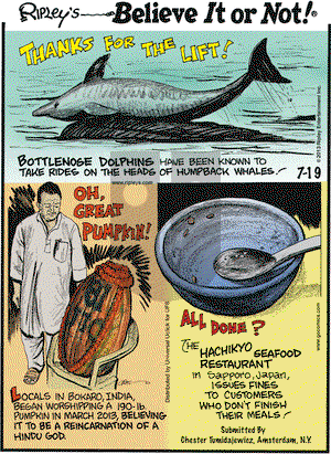 Ripley's Believe It or Not on Friday July 19, 2013 Comic Strip