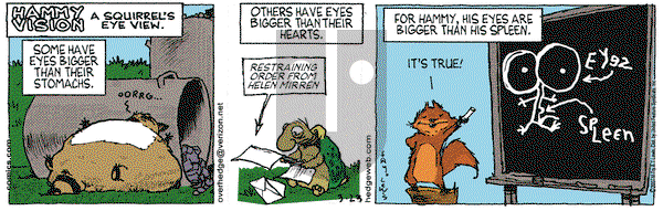 Over the Hedge on Friday March 23, 2007 Comic Strip