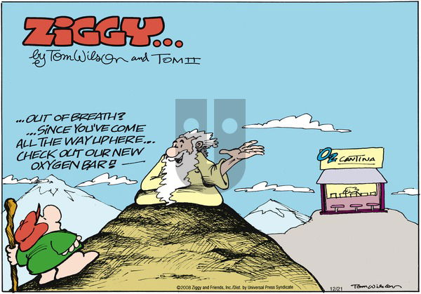 Ziggy on Sunday December 21, 2008 Comic Strip
