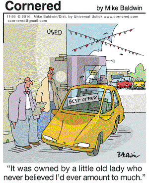 Cornered on Saturday November 26, 2016 Comic Strip