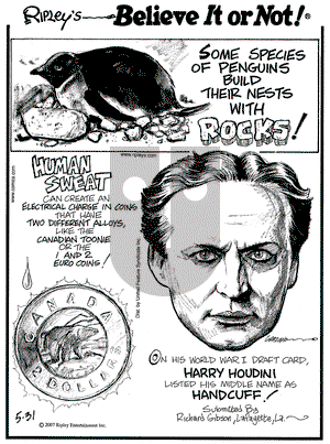 Ripley's Believe It or Not on Thursday May 31, 2007 Comic Strip
