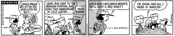 Peanuts on Wednesday August 3, 1966 Comic Strip