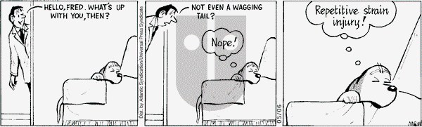Fred Basset on Tuesday May 6, 2008 Comic Strip