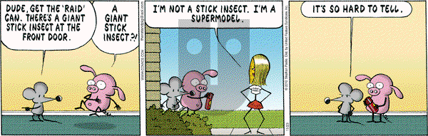 Pearls Before Swine on Tuesday November 23, 2010 Comic Strip