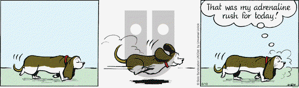 Fred Basset on Friday June 10, 2016 Comic Strip