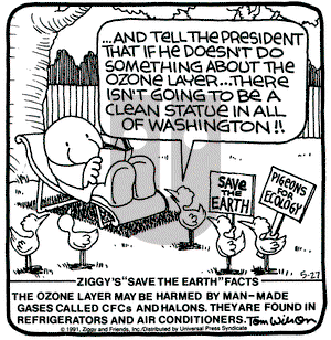 Ziggy on Monday May 27, 1991 Comic Strip