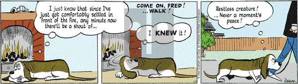Fred Basset on Tuesday January 7, 2025 Comic Strip