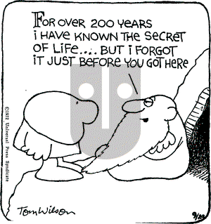 Ziggy on Wednesday September 20, 1972 Comic Strip