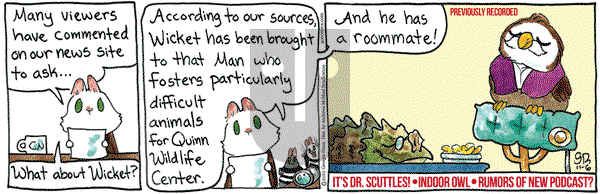 Breaking Cat News - Monday November 6, 2023 Comic Strip