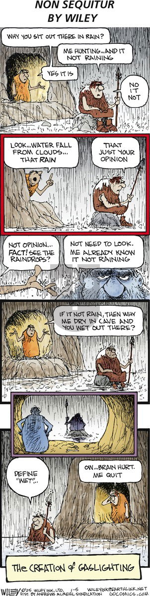 Non Sequitur - Sunday January 5, 2025 Comic Strip