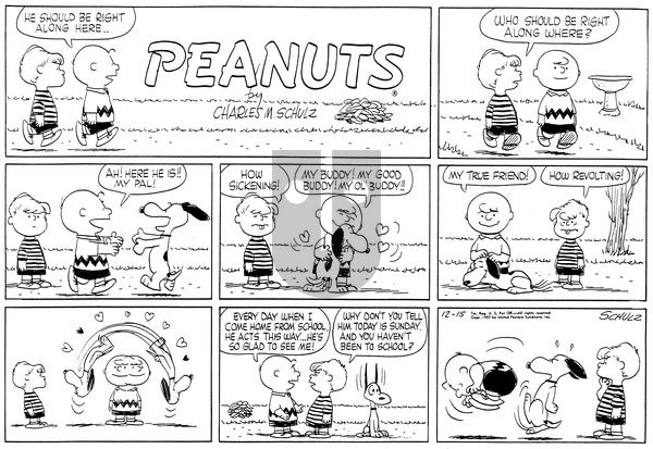 Peanuts on Sunday December 15, 1957 Comic Strip