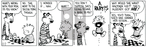Calvin and Hobbes on Friday November 7, 1986 Comic Strip