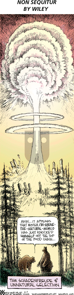 Non Sequitur on Sunday February 7, 2010 Comic Strip