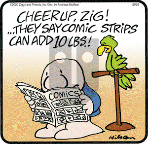 Ziggy on Tuesday December 22, 2020 Comic Strip